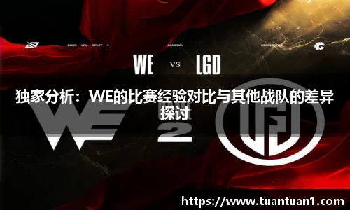 独家分析：WE的比赛经验对比与其他战队的差异探讨