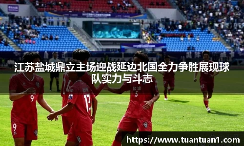 江苏盐城鼎立主场迎战延边北国全力争胜展现球队实力与斗志